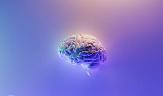 [Елена Корнилова] Нейрофакинг. Мозг. Частоты и пол_0.png